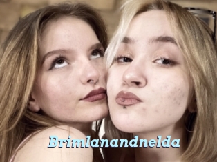 Brimlanandnelda