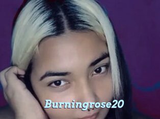 Burningrose20