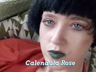 Calendula_Rose
