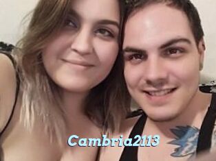 Cambria2113