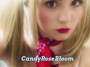 CandyRoseBloom
