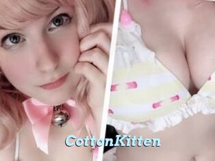 CottonKitten