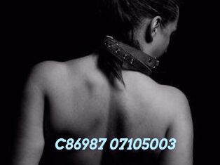 C86987-07105003