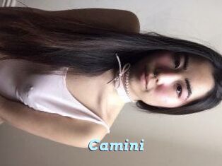 Camini