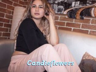 Candieflowers