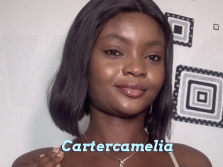 Cartercamelia