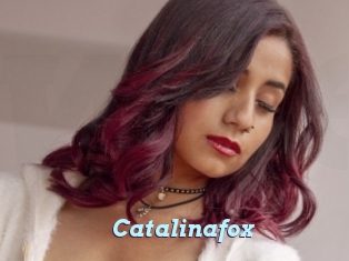 Catalinafox