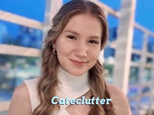Cateclutter