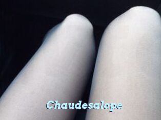 Chaudesalope