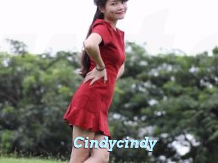 Cindycindy