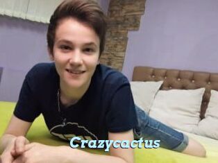 Crazycactus