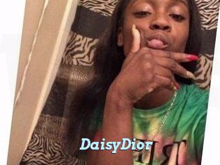 DaisyDior