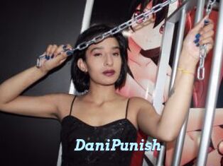 DaniPunish