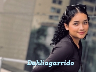 Dahliagarrido