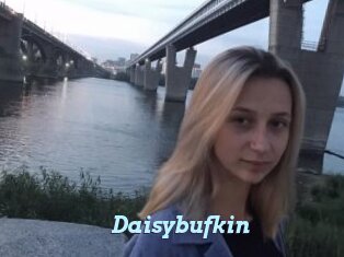 Daisybufkin