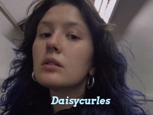 Daisycurles