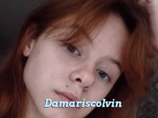 Damariscolvin