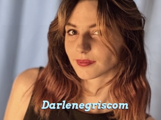 Darlenegriscom