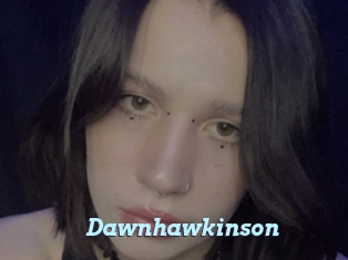 Dawnhawkinson