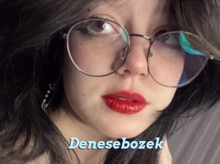 Denesebozek