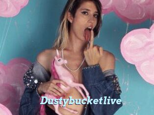 Dustybucketlive