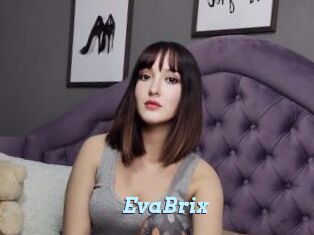 EvaBrix