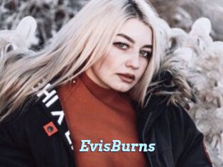 EvisBurns