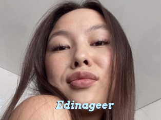 Edinageer