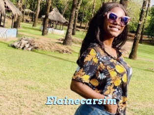 Elainecarsim