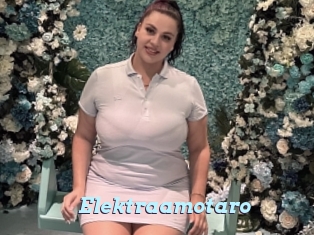 Elektraamotaro
