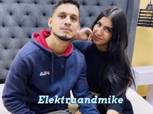 Elektraandmike