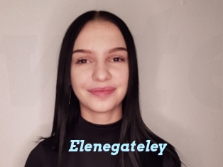 Elenegateley