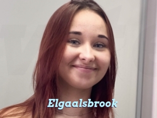 Elgaalsbrook