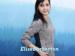 Elisebarberton
