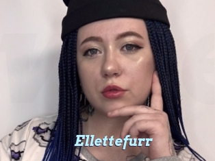 Ellettefurr