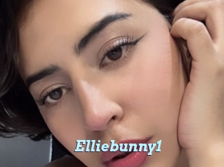 Elliebunny1