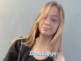 Elvabigge