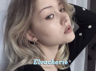 Elvacherie