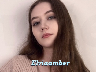 Elviaamber