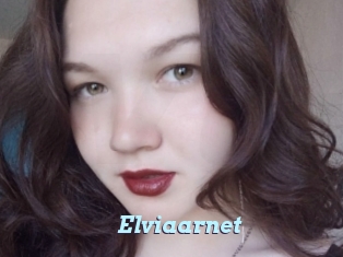 Elviaarnet