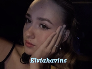 Elviahavins