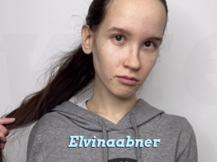 Elvinaabner