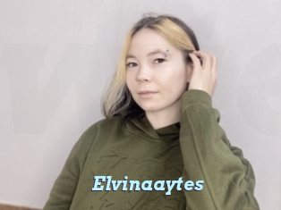 Elvinaaytes