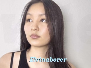 Elvinaborer