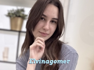 Elvinagomer