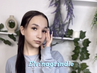 Elvinagrindle