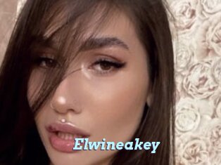 Elwineakey