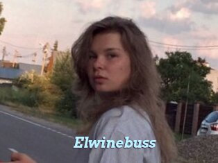 Elwinebuss