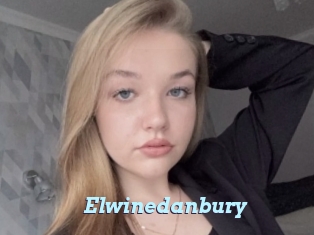 Elwinedanbury