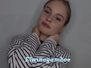 Elwinegambee